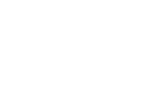 Fakt Art